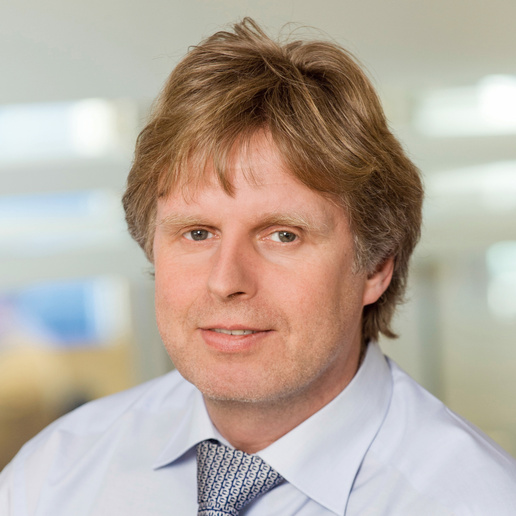 Lothar Brink